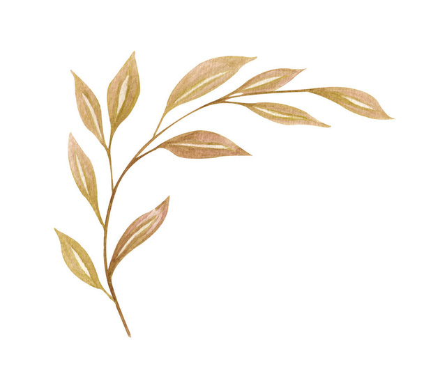 Watercolor exotic dry twig with gold textures. Hand painted boho leaves isolated on white background. Floral illustration for design, print, fabric or background. - Photo, Image