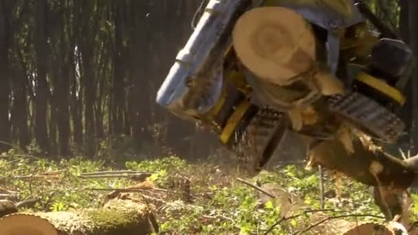 Cortar bosques con maquinaria moderna - Preparar la leña para el invierno, Vídeo Clip con sonido original - Metraje, vídeo