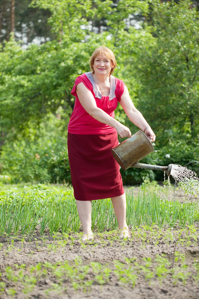 Mature woman watering vegetables   - Fotoğraf, Görsel