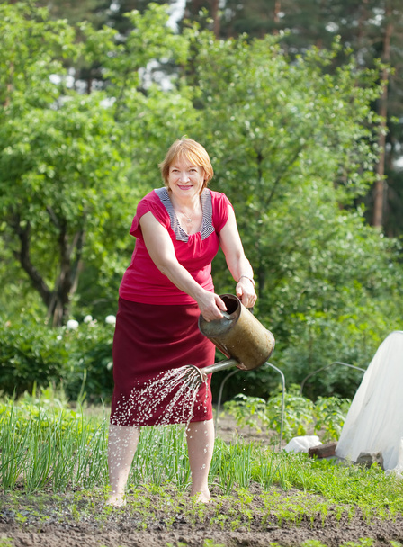 Mature woman watering plant   - Фото, зображення