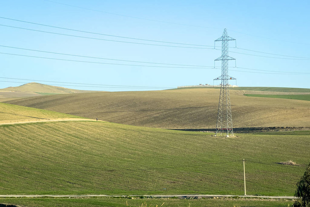 Polos de rede de eletricidade em uma área rural com um campo verde - Foto, Imagem