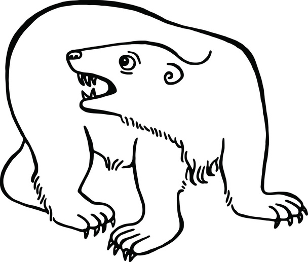 Dibujo de un oso polar
 - Vector, imagen
