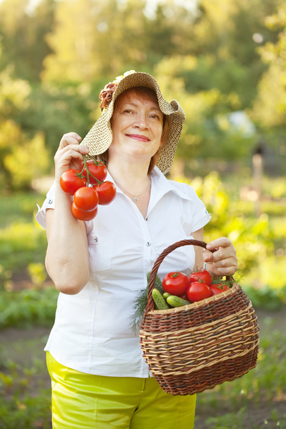 Woman with vegetables harvest - Foto, Imagem