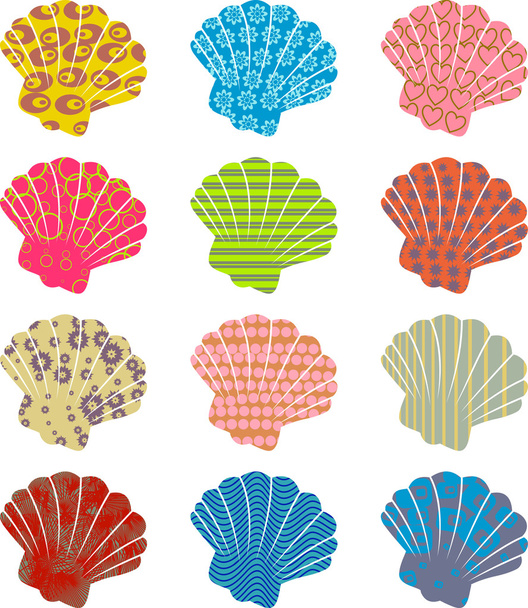 Bonito patrón de concha marina
. - Vector, imagen
