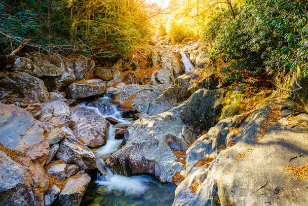 Rocky mountain stream in Pisgah National Forest, North Carolina - Foto, imagen