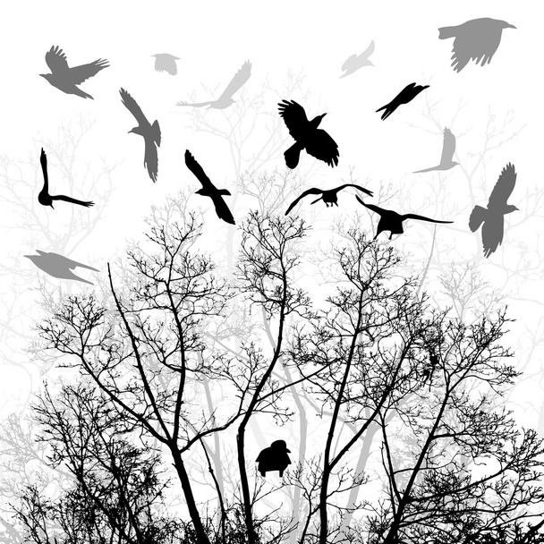 Aves voladoras acuden
 - Vector, Imagen