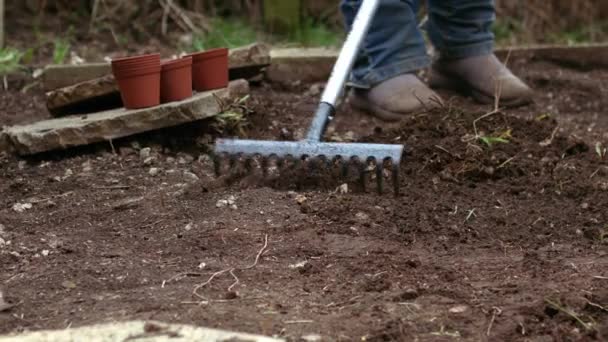 Κηπουρός προετοιμασία του εδάφους με τσουγκράνα για την καλλιέργεια φυτών μεσαίου αργή κίνηση πυροβόλησε επιλεκτική εστίαση - Πλάνα, βίντεο