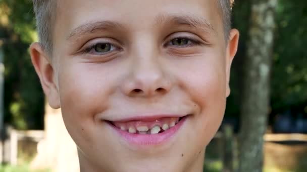 Portré egy aranyos, gyönyörű, mosolygós fiúról, aki 7 éve él a parkban. Közelkép - Felvétel, videó