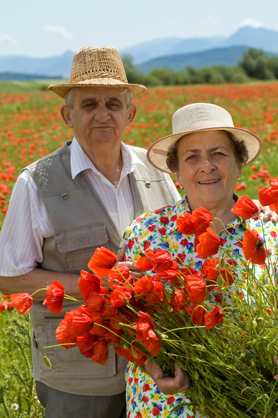 Seniorenpaar genießt den Sommer - Foto, Bild