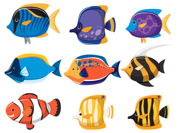 Set of colourful saltwater fish cartoon simple style illustration - Vektor, obrázek