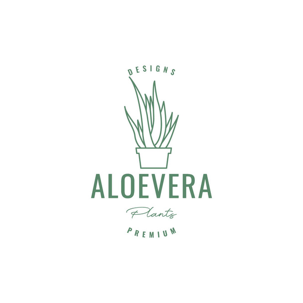 aloes vera roślina botaniczny żel wazon garnki ogród hipster logo projekt wektor ikona ilustracja - Wektor, obraz