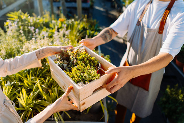 Jardinier vendant une boîte de plantes au client. E-commerce, concept de commande en ligne. Photo de haute qualité - Photo, image