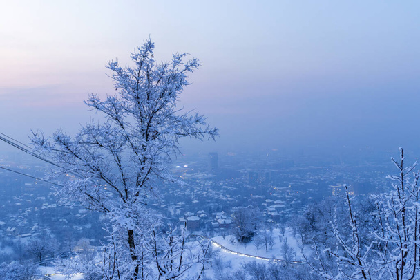 Almaty Kazachstan 13 januari 2023. Uitzicht op de stad vanaf de Koktobe Mountaint - Foto, afbeelding