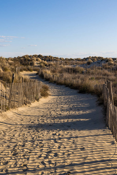 Walk through the sand dunes to Petit Travers beach in Carnon - Foto, Bild