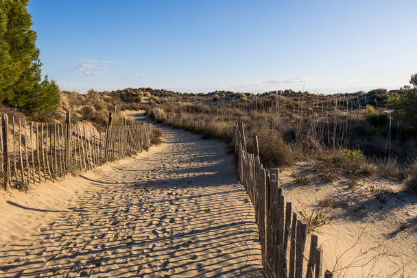 Walk through the sand dunes to Petit Travers beach in Carnon - Foto, Bild