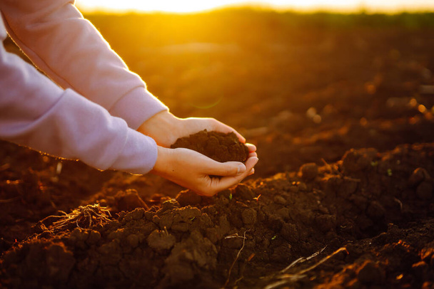 Die Hände berühren den Boden auf dem Feld und überprüfen die Bodengesundheit, bevor ein Samen von Gemüse- oder Pflanzensämlingen wächst. Geschäfts- oder Ökologiekonzept. - Foto, Bild