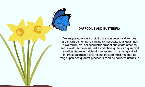 Yellow daffodils flowers with a blue butterfly on blue background - Vektor, kép