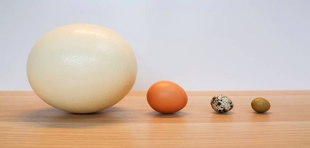 Ostrich egg, chicken egg, quail egg and bird egg in a row, isolated on a wooden table. - Fotografie, Obrázek