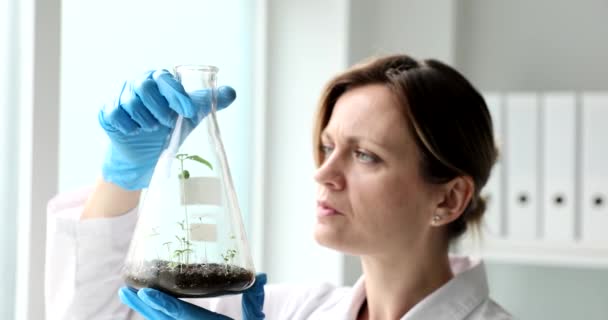 Scientist botanist looking at green plant sprout in chemical flask in laboratory 4k movie slow motion. Genetic engineering breeding new varieties of plants concept - Séquence, vidéo