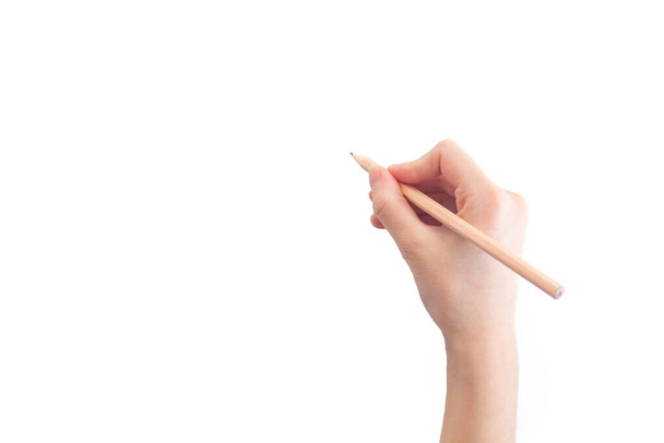 Hand hält einen Bleistift auf weißem Hintergrund. Ansicht von oben, Kopierraum für Text. - Foto, Bild