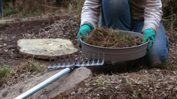 Jardinier tamisage du sol avec tamis de sol pour les plantes en croissance mise au point sélective tir au ralenti moyen - Séquence, vidéo