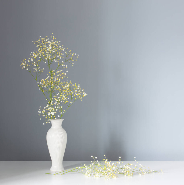 gypsophila flowers in white vase on gray background - Photo, Image