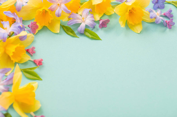 spring flowers on green  papper background - Valokuva, kuva