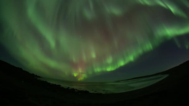Full sky red and green aurora borealis over ocean waves - Metraje, vídeo