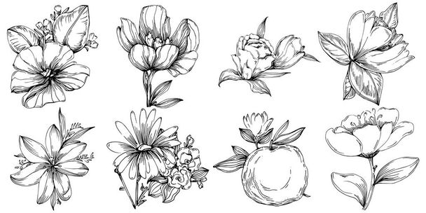 illustration vectorielle d'une fleur gravée en noir et blanc. élément décoratif pour livre à colorier, dessin d'emballage. - Vecteur, image