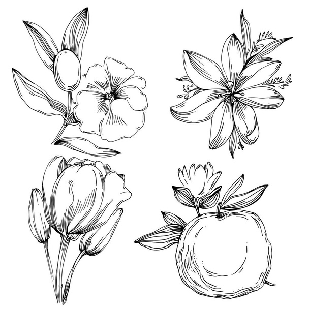 vektorová ilustrace černobílých rytých květin. dekorativní prvek pro omalovánky, kreslené obaly. - Vektor, obrázek