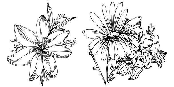 vector illustration of a black and white engraved flowers. decorative element for coloring book, wrapper-drawn. - Vecteur, image
