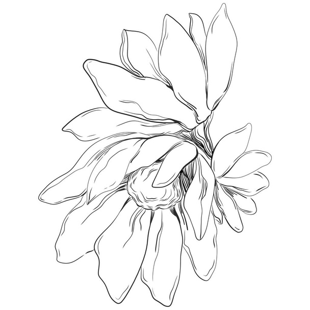 Vektorillustration einer schwarz-weiß gravierten Blume. Dekorationselement für Malbuch, gezeichnet. - Vektor, Bild