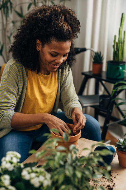 Happy African American woman is planting houseplants - Valokuva, kuva