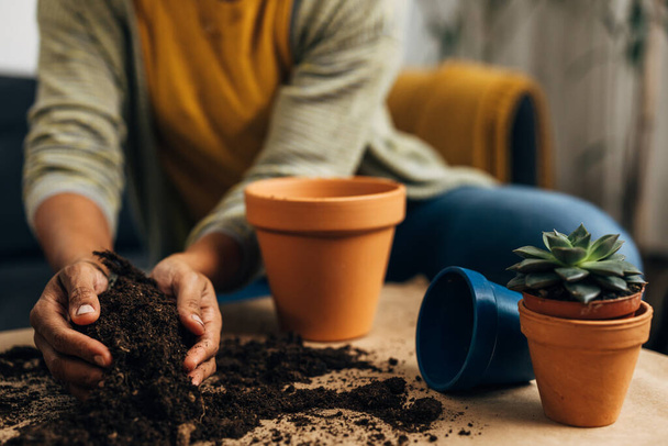 Hands collect soil for planting flowers - Valokuva, kuva
