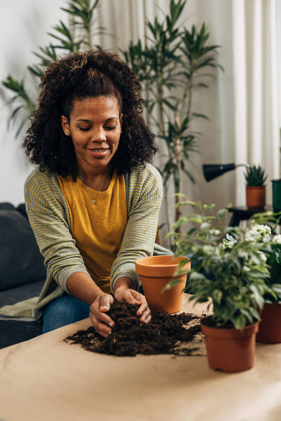 Joyful woman is planting houseplants at home - Fotó, kép