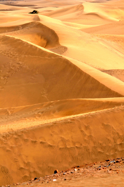 Sand Desert - Foto, afbeelding