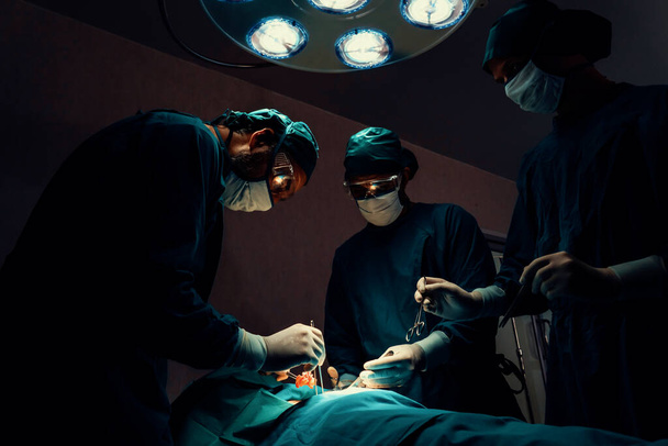 Chirurgisch team opereert de patiënt in steriele operatiekamer. In een operatiekamer verlicht door een lamp, een professionele en zelfverzekerde chirurgische team biedt medische zorg aan een bewusteloze patiënt. - Foto, afbeelding