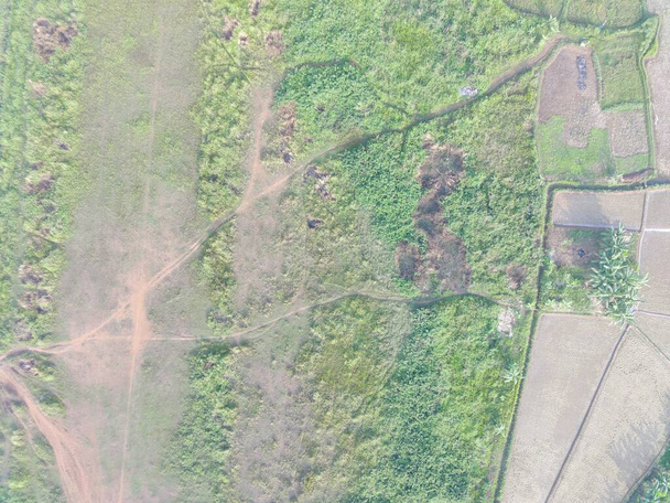 aerial view of land mapping by unmaned aerial vehicle in Bogor, Indonesia. - Photo, image
