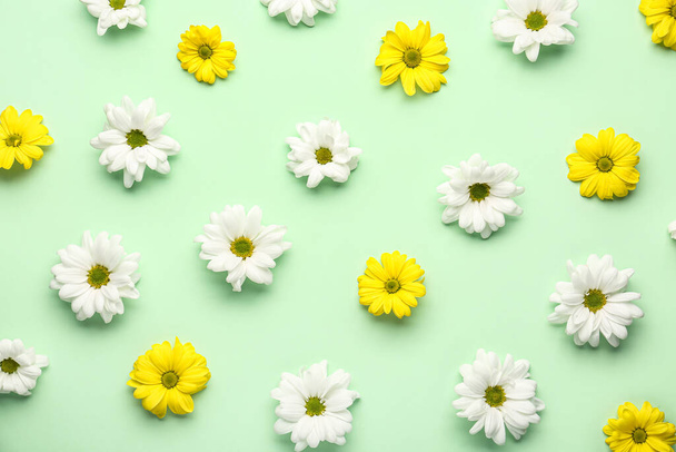 Composition with white and yellow flowers on color background - Photo, Image