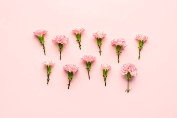 Composition with beautiful carnation flowers on pink background - Φωτογραφία, εικόνα