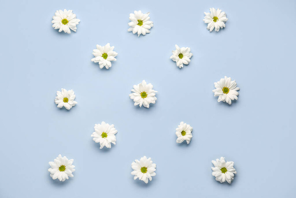 Composition with chamomile flowers on light background - Foto, Bild