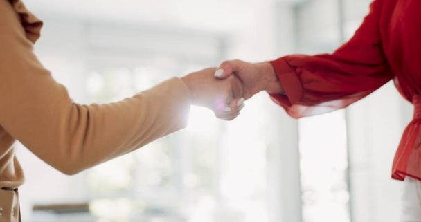 Partnership, thank you and handshake from business women happy with investment deal, negotiation or agreement. Hand shake, welcome and people shaking hands for b2b collaboration or corporate contract. - Photo, Image