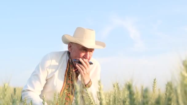Літній чоловік у капелюсі грає на губній гармоніці посеред поля пшениці. Вік. Самотність. Український дід у вишитій сорочці. - Кадри, відео