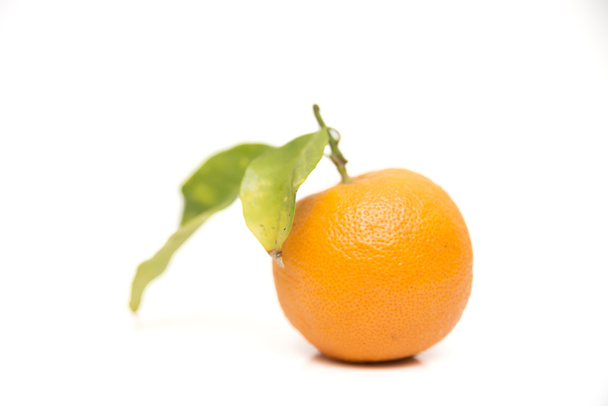 дозріли помаранчевий
  - Фото, зображення