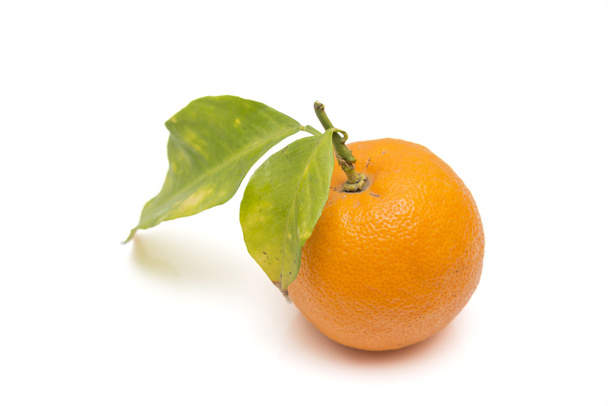 érett narancs  - Fotó, kép