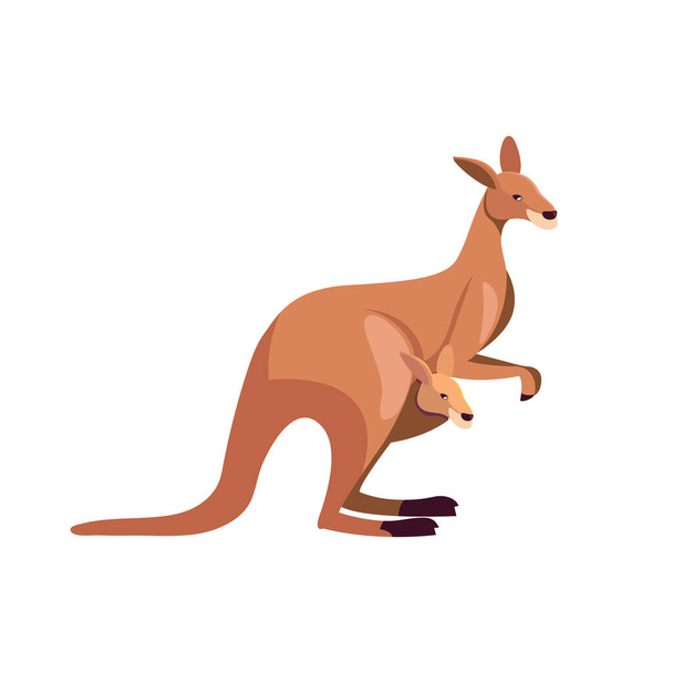 Kangaroo animal mother with child in pocket cute cartoon. Vector illustration - Vector, Image