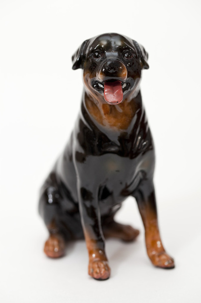 ラブラドル ・ レトリーバー犬黒 - 写真・画像
