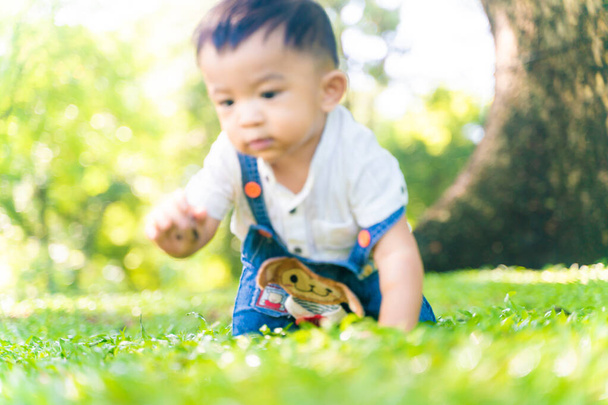 Pequeño niño de 1 año arrastrándose sobre hierba verde bajo el parque de árboles al aire libre - Foto, imagen