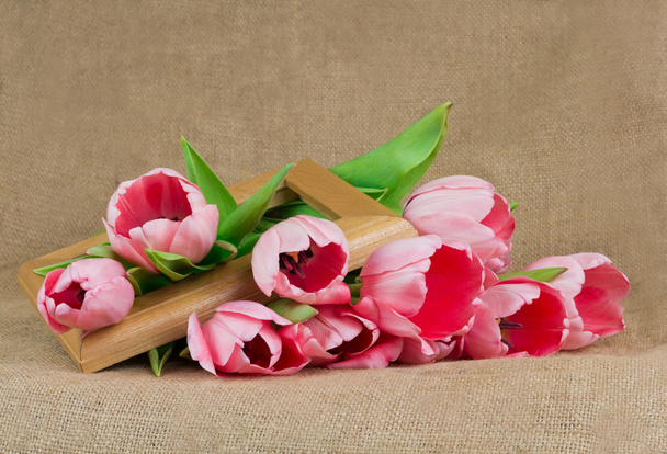 Un bouquet di tulipani rosa con nastro di raso e cornice in legno
 - Foto, immagini