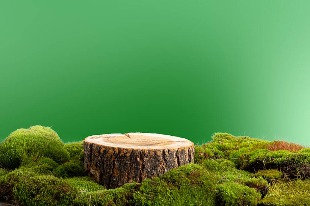 természetes stílus. Fafűrészelt, kerek pódium zöld mohával, fehér háttérrel. Csendélet a termékek bemutatásához. Homályos előtér  - Fotó, kép